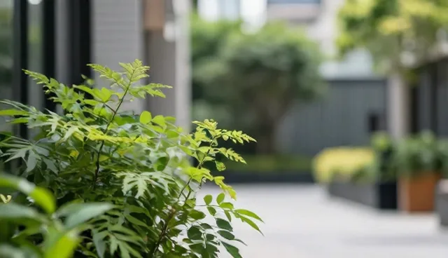 医疗服务系统设计中的流程优化建议